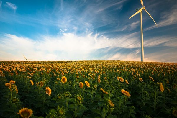 vindmølle - grøn energi - energirapport