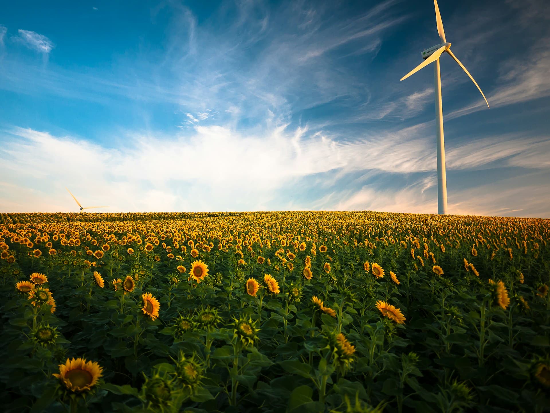 vindmølle - grøn energi - energirapport